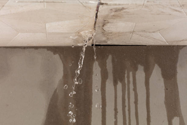 Professional Burst Pipe Cleanup technician working in Rutledge, TN